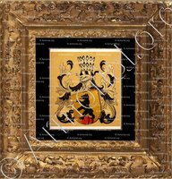 cadre-ancien-or-BAERENFELS_Wappenbuch der Stadt Basel . B.Meyer Knaus 1880_Schweiz