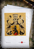 velin-d-Arches-BAERENFELS_Wappenbuch der Stadt Basel . B.Meyer Knaus 1880_Schweiz