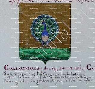 COLLONGUES
