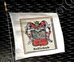 drapeau-SOLLOHUB_Smolenski_Polska (i)