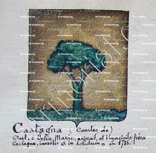 Comtes de CASTAGNA