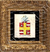 cadre-ancien-or-DE COPPIN DE CONJOUX_Armorial royal des Pays-Bas_Europe