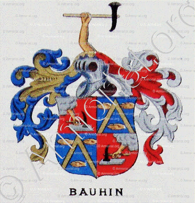 BAUHIN_Wappenbuch des Stadt Basel. Meyer Kraus, 1880_Schweiz