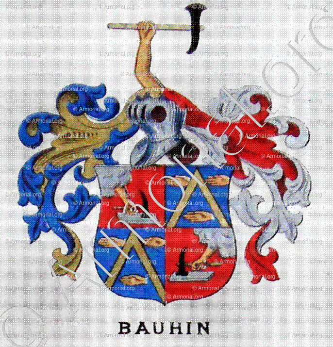 BAUHIN_Wappenbuch des Stadt Basel. Meyer Kraus, 1880_Schweiz