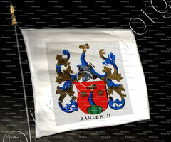 drapeau-BAULER_Wappenbuch des Stadt Basel. Meyer Kraus, 1880_Schweiz (ii)