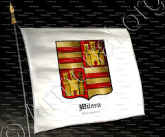 drapeau-MILARA_Extremadura_España (2)