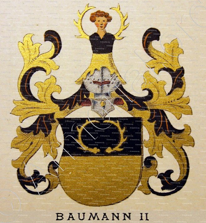 BAUMANN_ Wappenbuch des Stadt Basel. Meyer Kraus, 1880._Schweiz (II)