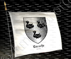drapeau-LAROCHE_Poitou_France (2)