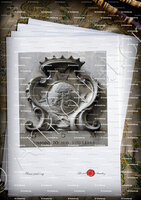 velin-d-Arches-FAVAVELLI_Bastia_Corse (7)