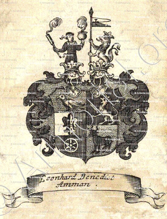 AMMAN_Zeeland_Nederland