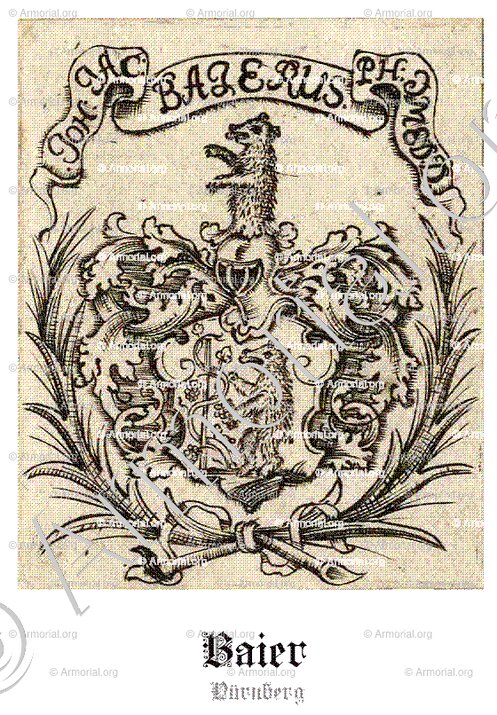 BAIER_Nürnberg, Bayern_Deutschland