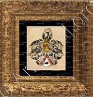 cadre-ancien-or-D'HANE-STEEHUYSE_Heer van Heusden, Vlaanderen, 1648, Comte._België