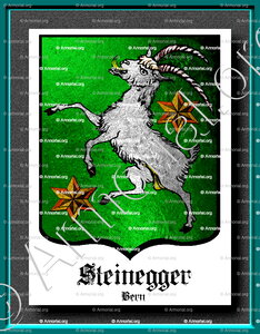 STEINEGGER