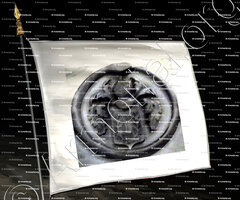 drapeau-LUSINGHI_Bastia_Corse (8)