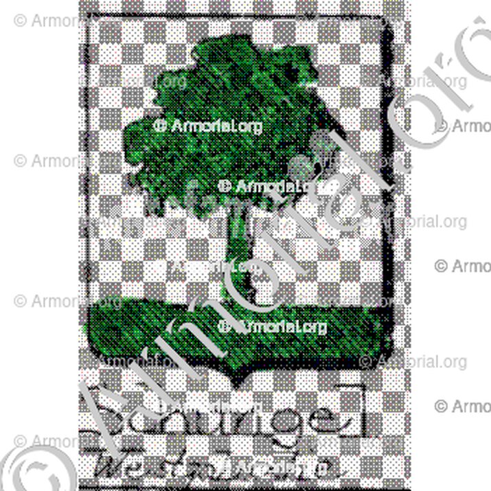 Schungel__
