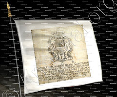 drapeau-MATTEIS_Bastia (2)