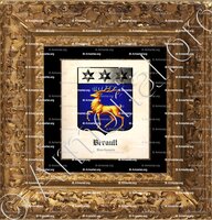 cadre-ancien-or-BERAULT_Bourbonnais_France (2)+