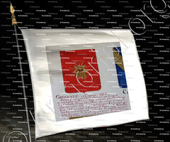 drapeau-COUARAZE ou COARAZE_Armorial Nice. (J. Casal, 1902) (Bibl. mun. de Nice)_France (ii)