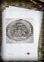 velin-d-Arches-RIGO_Bastia_Corse (7)
