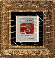 cadre-ancien-or-CUEBRIS_Armorial Nice. (J. Casal, 1902) (Bibl. mun. de Nice)_France (i)