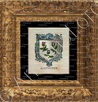 cadre-ancien-or-BERTIGNON_Nobiliaire et Armorial Général de la de Lorraine et du Barrois._France (+)