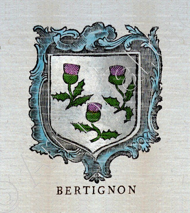 BERTIGNON_Nobiliaire et Armorial Général de la de Lorraine et du Barrois._France (+)