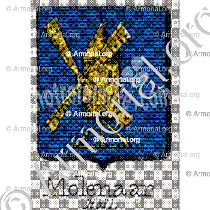Molenaar__