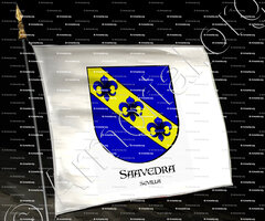 drapeau-SAAVEDRA_Sevilla_España (i)