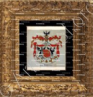 cadre-ancien-or-ALIX de FORESTA Pricesse NAPOLEON_Armorial Nice. (J. Casal, 1903) (Bibl. mun. de Nice)_France (i) - Copie