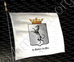 drapeau-de SALLIER du PIN_Bretagne_France