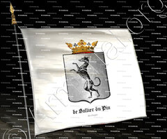 drapeau-de SALLIER du PIN_Bretagne_France