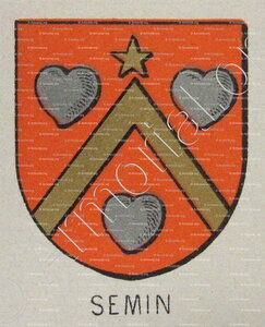 SEMIN