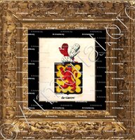 cadre-ancien-or-DE GAVRE_Armorial royal des Pays-Bas_Europe