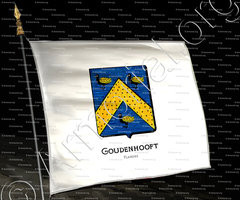 drapeau-GOUDENHOOFT_Vlaanderen_België (3)