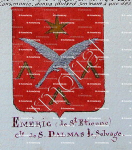 EMERIC Cte de SAINT DALMAS de SELVAGE
