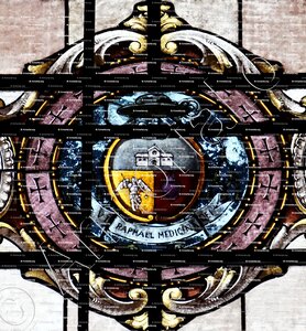 RAPHAEL MEDICINA DEI