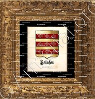 cadre-ancien-or-PALAFOX_Aragón, Navarra._España (2)