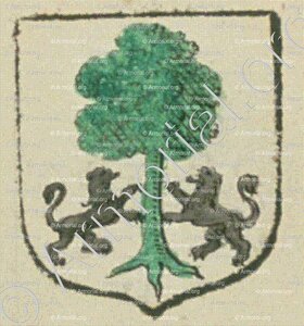 TEILLE (La Rochelle)