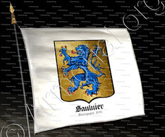 drapeau-SAULNIER_Bourgogne, 1696._France (1)