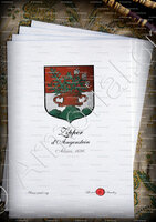 velin-d-Arches-ZIPPER d'ANGENSTEIN_Alsace, 1696._Royaume de France  (1)