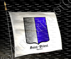drapeau-SAINT PRIEST_Lyonnais_France (i)