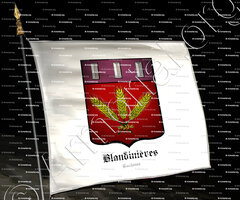 drapeau-BLANDINIERES_Toulouse_France