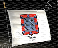 drapeau-TAPIÀ_Navarra._España