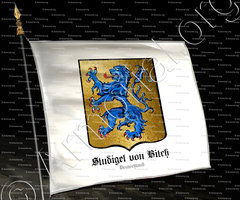 drapeau-STUDIGEL von BITCH_Deutschland_Deutschland (1)