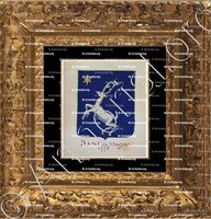 cadre-ancien-or-DANI (de Magan)_Armorial Nice. (J. Casal, 1903) (Bibl. mun. de Nice)_France (i)