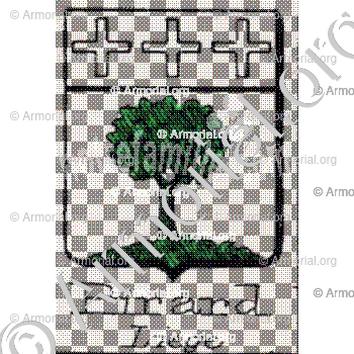Pirard__