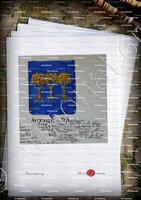 velin-d-Arches-D'AUTHIER_Armorial Nice. (J. Casal, 1903) (Bibl. mun. de Nice)_France (i)