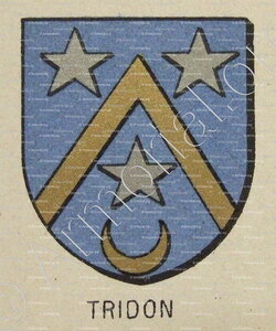 TRIDON