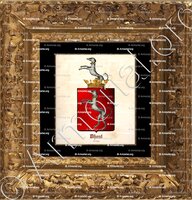 cadre-ancien-or-DHONT_Brugge, Armorial royal des Pays-Bas._Europe