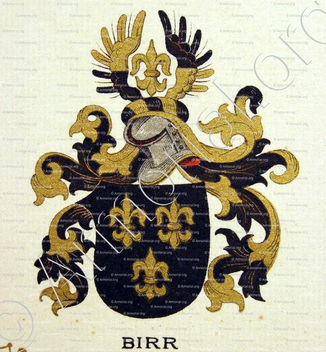 BIRR_Wappenbuch der Stadt Basel . B.Meyer Knaus 1880_Schweiz
